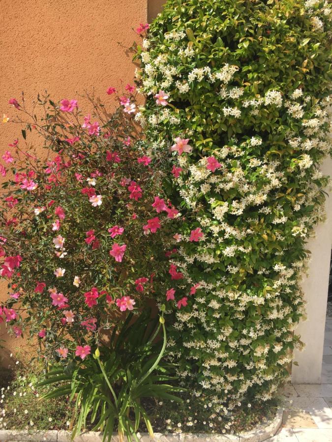 Les Lavandes Bed and Breakfast Alleins Exterior foto