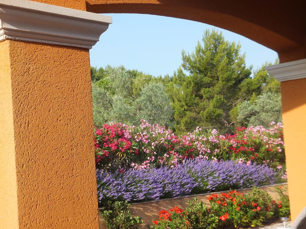 Les Lavandes Bed and Breakfast Alleins Exterior foto
