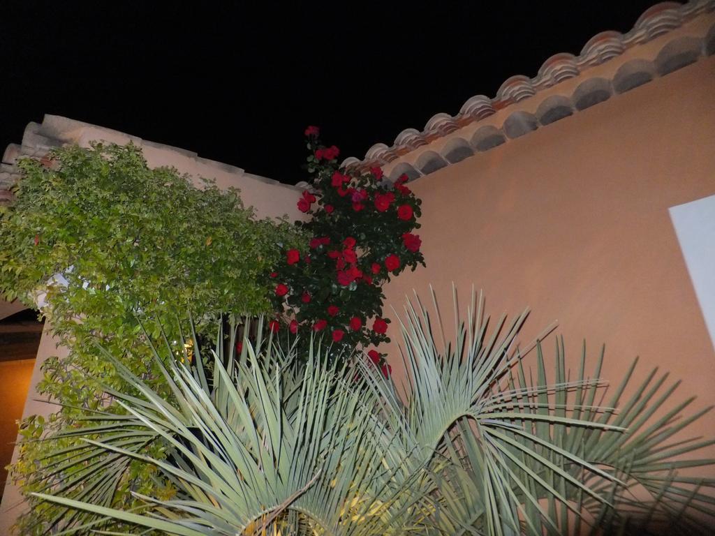 Les Lavandes Bed and Breakfast Alleins Exterior foto